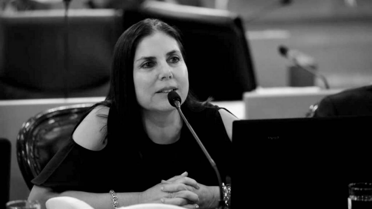 Lena calificó como “fructífero” el año legislativo en Diputados