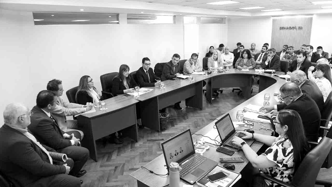 Juicio por jurados: senadores recibieron aportes al proyecto de reforma